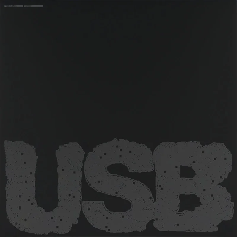 Fred Again... - USB002 - 2 LPs