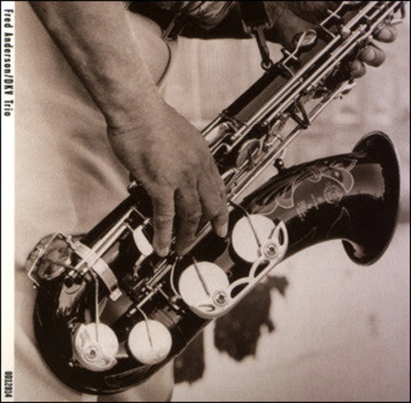 Fred Anderson / DKV Trio - s/t