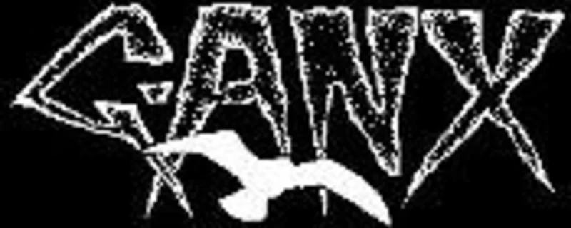 GANX patch