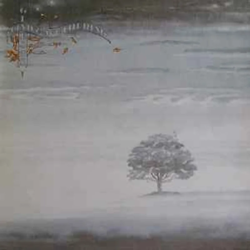 Genesis  Wind & Wuthering  (1976)