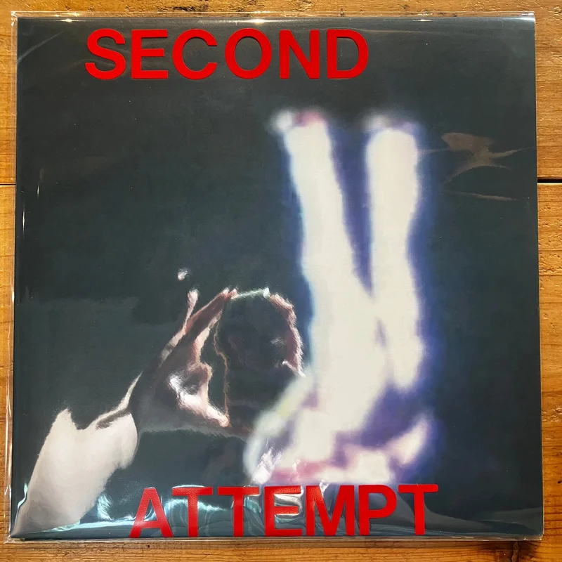 Giulio Erasmus  Second Attempt (LP)