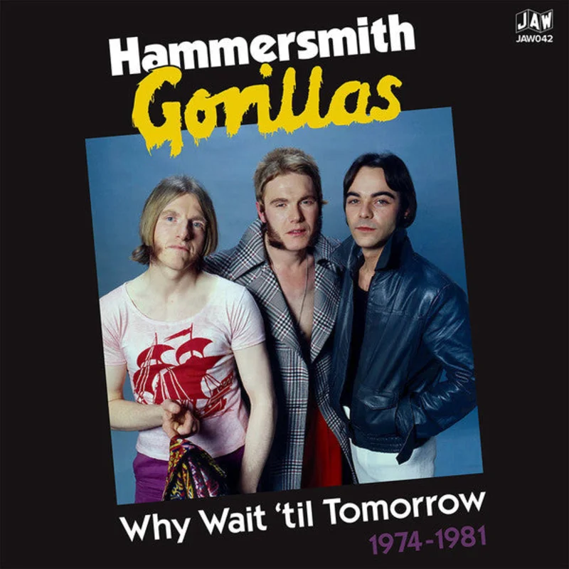 Hammersmith Gorillas - Why Wait 'Til Tomorrow 1974 to 1981 NEW 2XLP