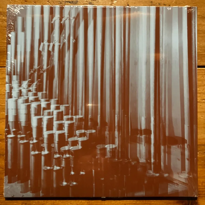 Hanno Leichtmann - Outerlands (LP)