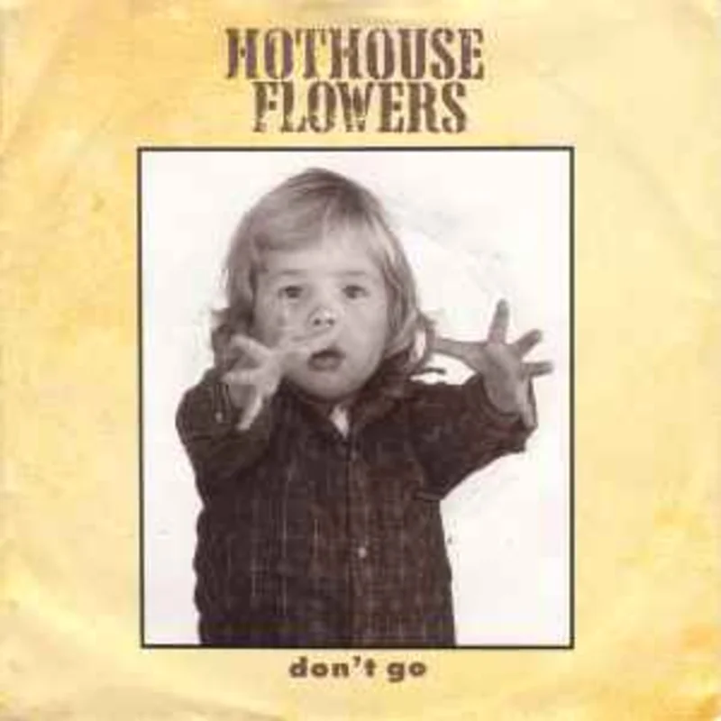 Hothouse Flowers  Don't Go  (1988)     7"