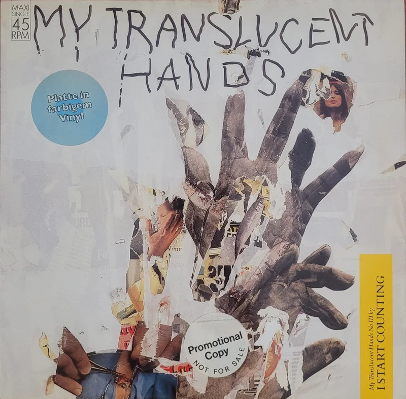 I Start Counting - My Translucent Hands No III 12" Single (Grey Marbled)