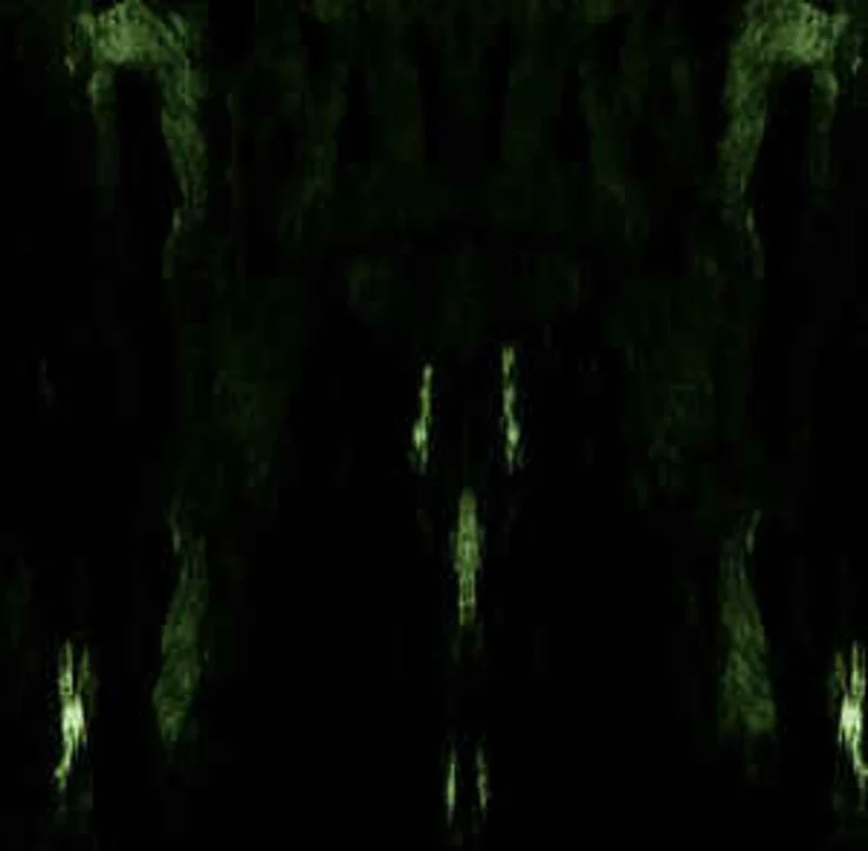 Impetuous Ritual - Unholy Congregation Of Hypocritical. NEW METAL LP