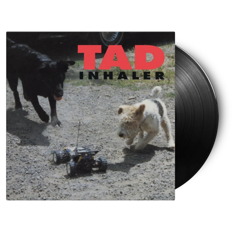 Inhaler