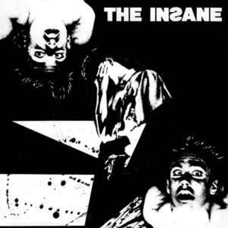 Insane - Politics NEW 7"