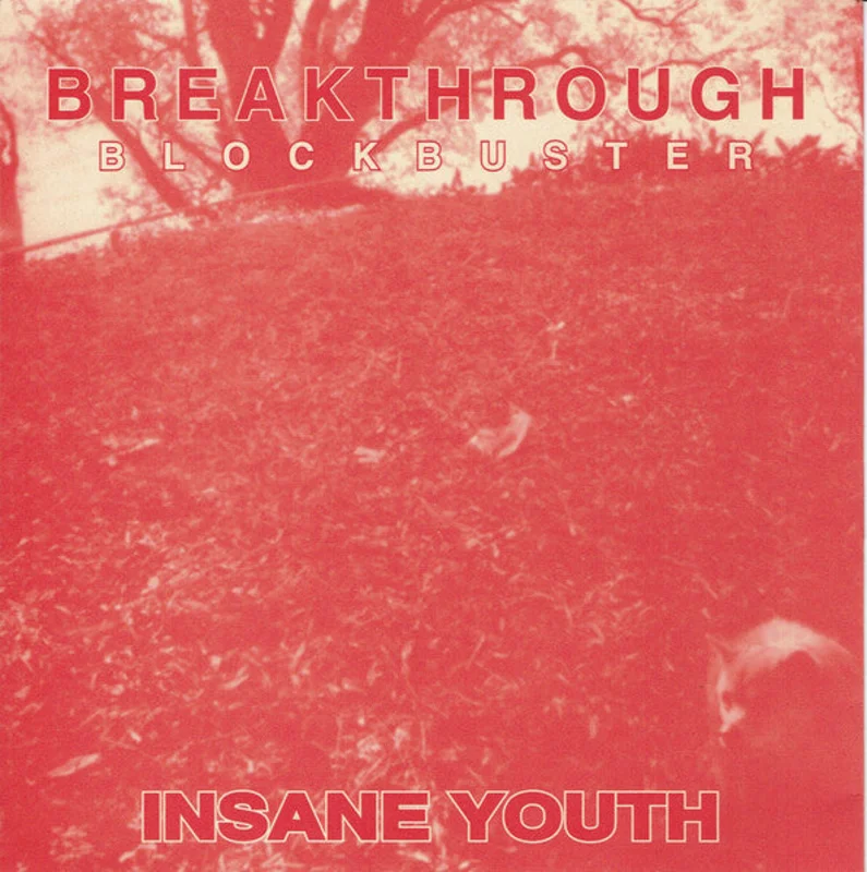 Insane Youth - Break Thrrough Blockbuster USED 7"