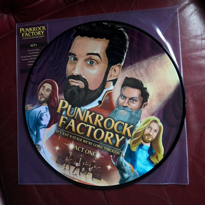 It's Just a Stage We're Going Picture Disc Vinyl