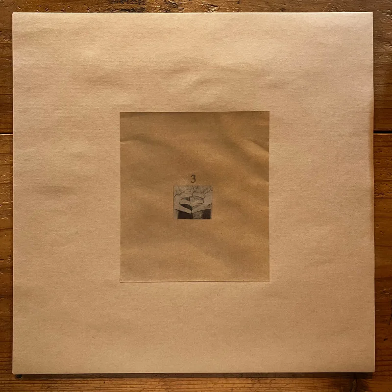 Izumi Hirakawa - 3 (LP)