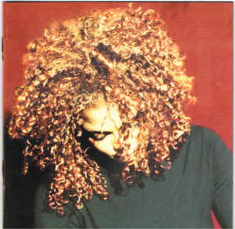 Janet*  The Velvet Rope  (1997)