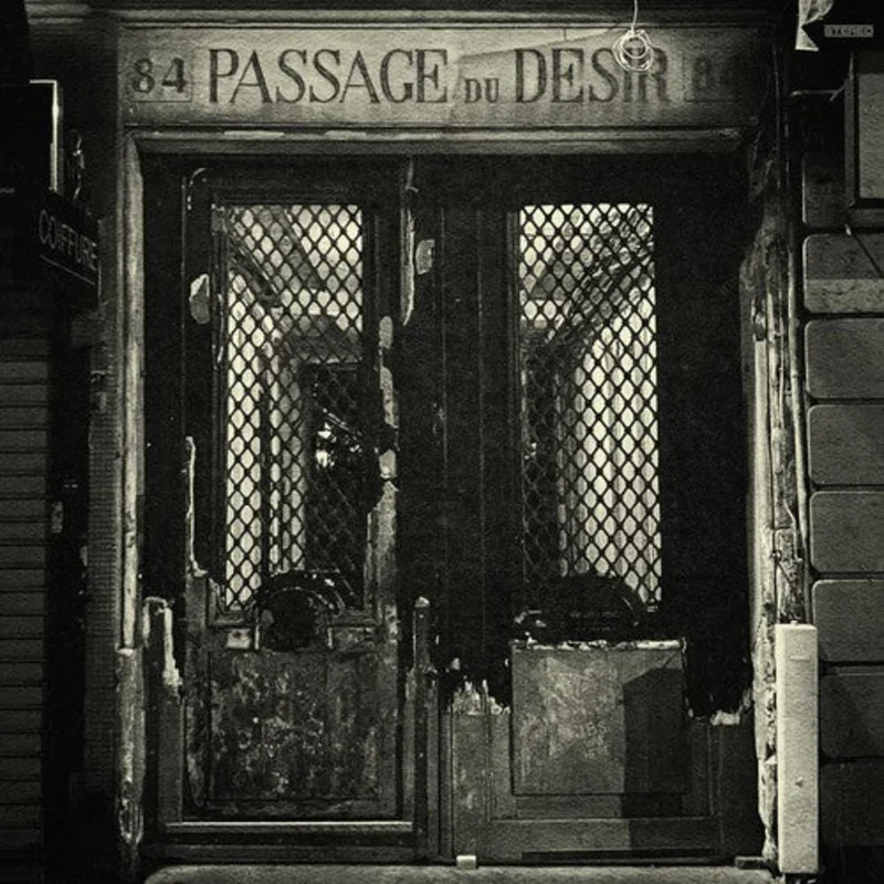 Johnny Blue Skies & The Dark Clouds - Passage du Desir