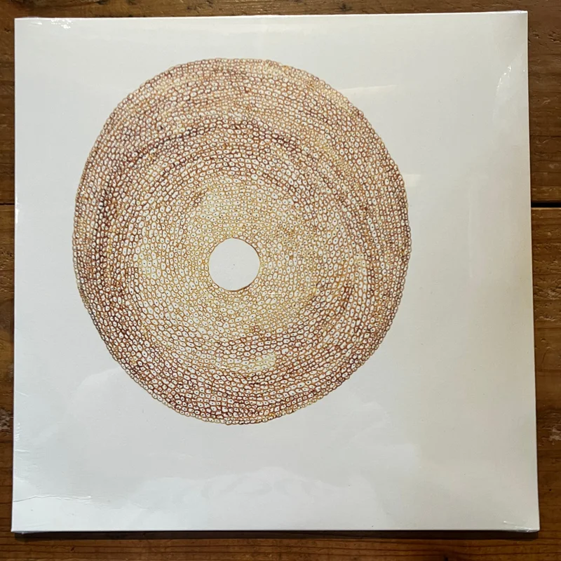 Jordi Santanach  Strata (LP)