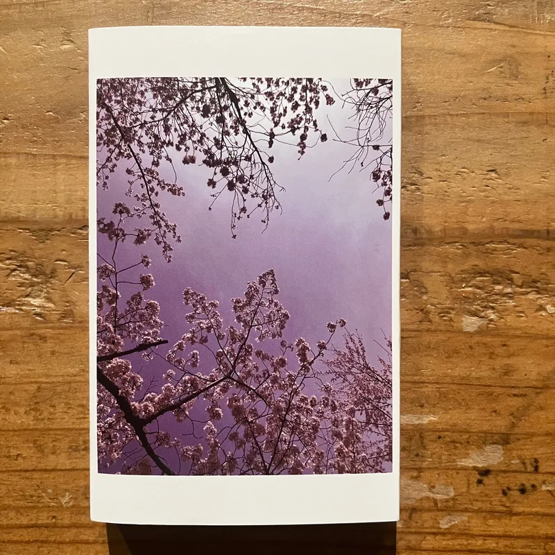 Katsunori Uenishi - Fading (TAPE)