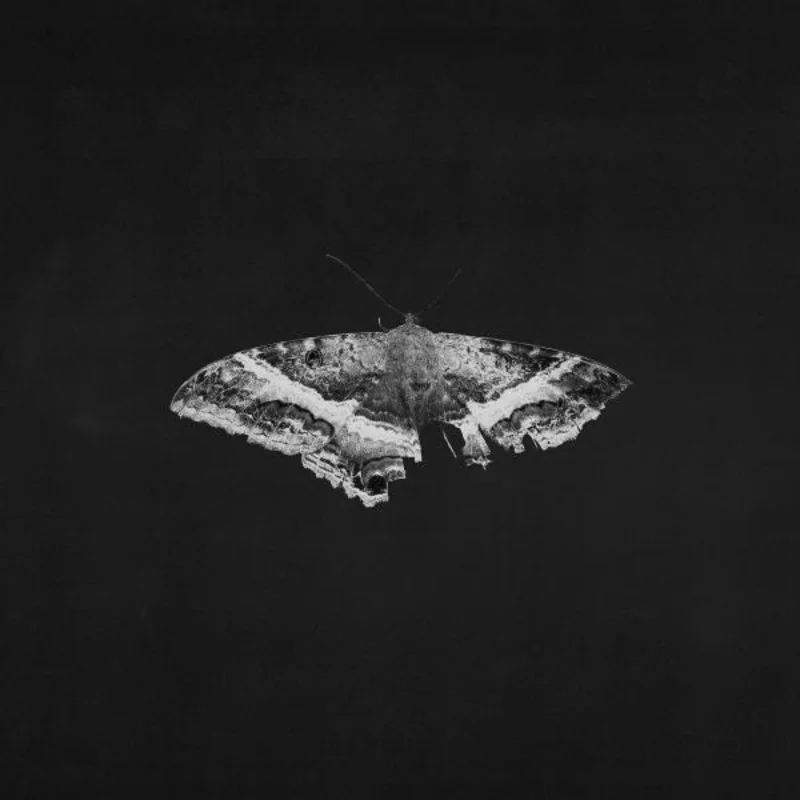 Kendrick Lamar - To Pimp A Butterfly (10 Year Anniversary) Lp (Ltd Coloured)