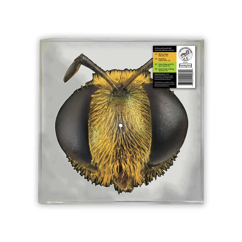King GIzzard & the Lizard Wizard - Big Fig Wasp - limited PICTURE DISC for RSD26