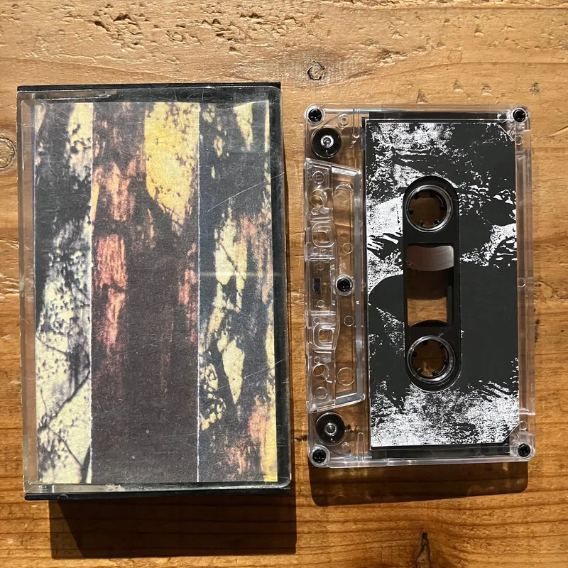 L. Linebacker - Vibratory noise in anthropogenic habitats (TAPE)