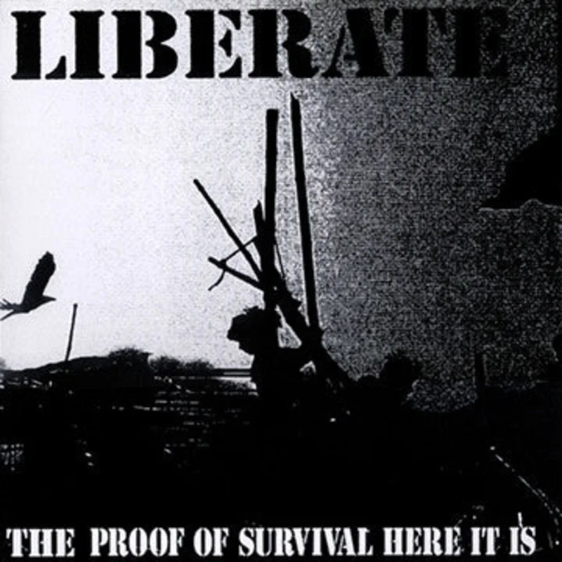 Liberate - The Proof Of Survival Here It Is USED LP