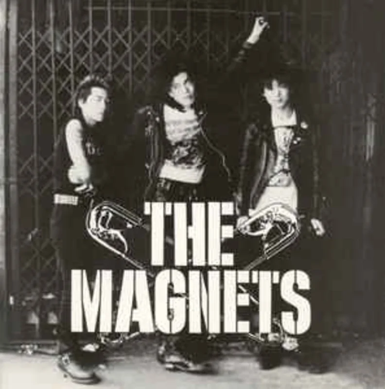 Magnets - S/T USED 7"