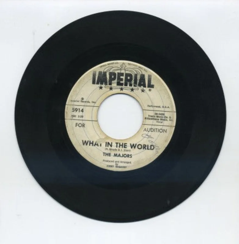 Majors - What In The World/ Anything You Can Do