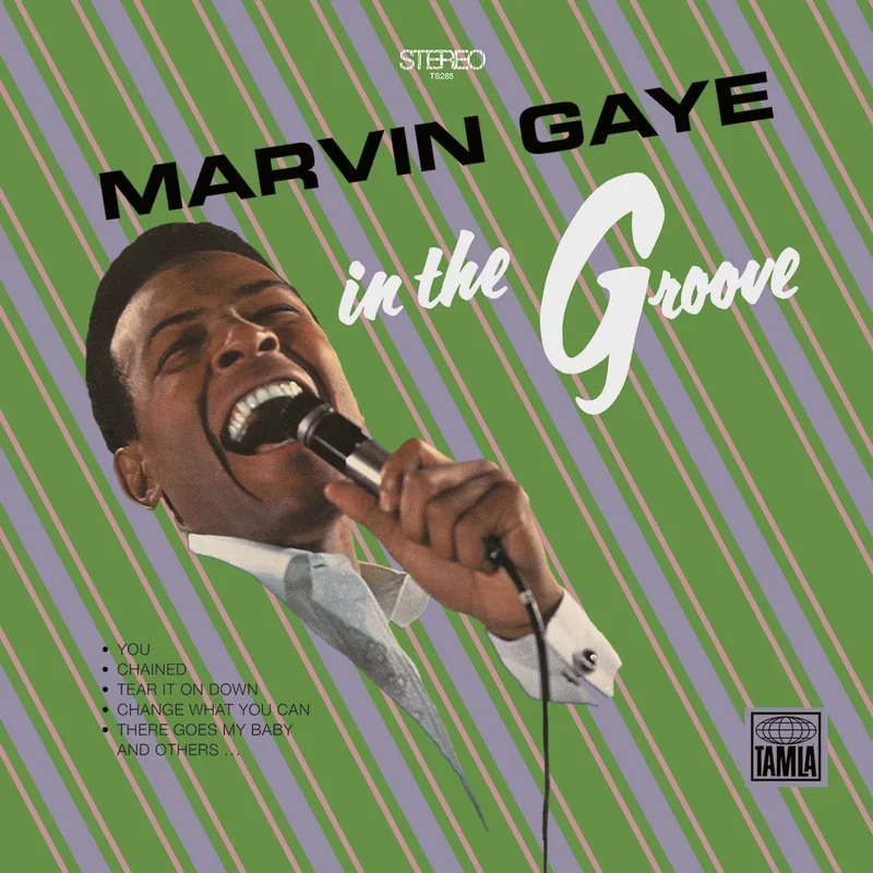 Marvin Gaye - In The Groove (Arrives in 4 Days)