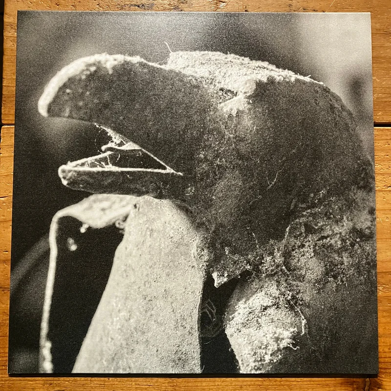 Memotone - Tollard (LP)