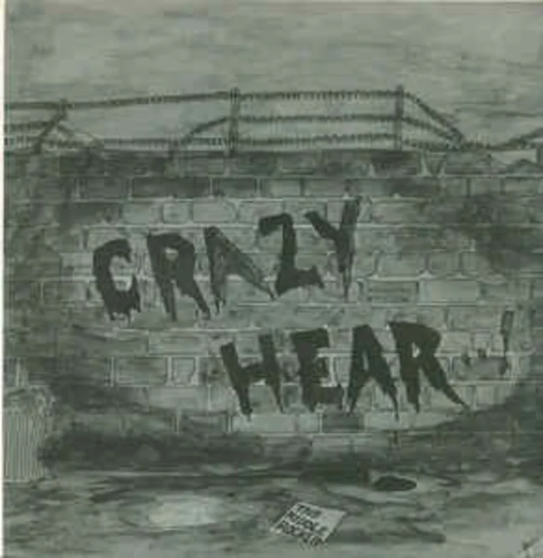 Middle Rocker  Crazy Hear USED 7"