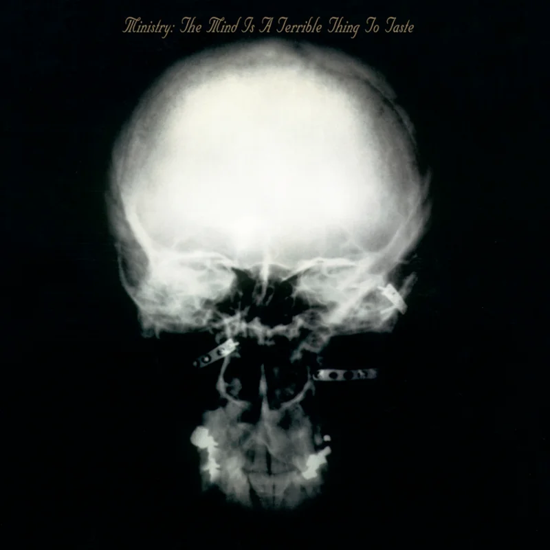 Ministry - The Mind is a Terrible Thing to Taste (expanded version) - 2 LPs for the Rocktober Series