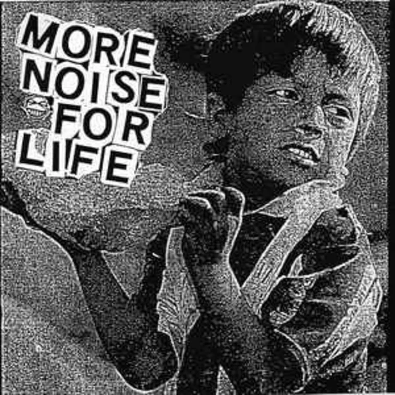 More Noise For Life - Punks Not Only Fun USED 7" (purple vinyl)
