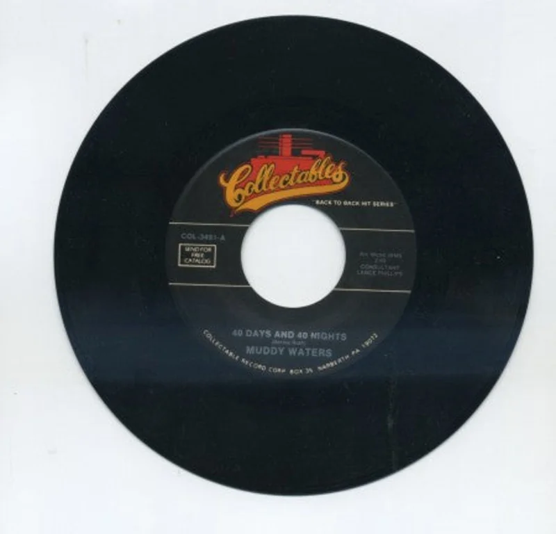 Muddy Waters - 40 Days And 40 Nights/ All Aboard