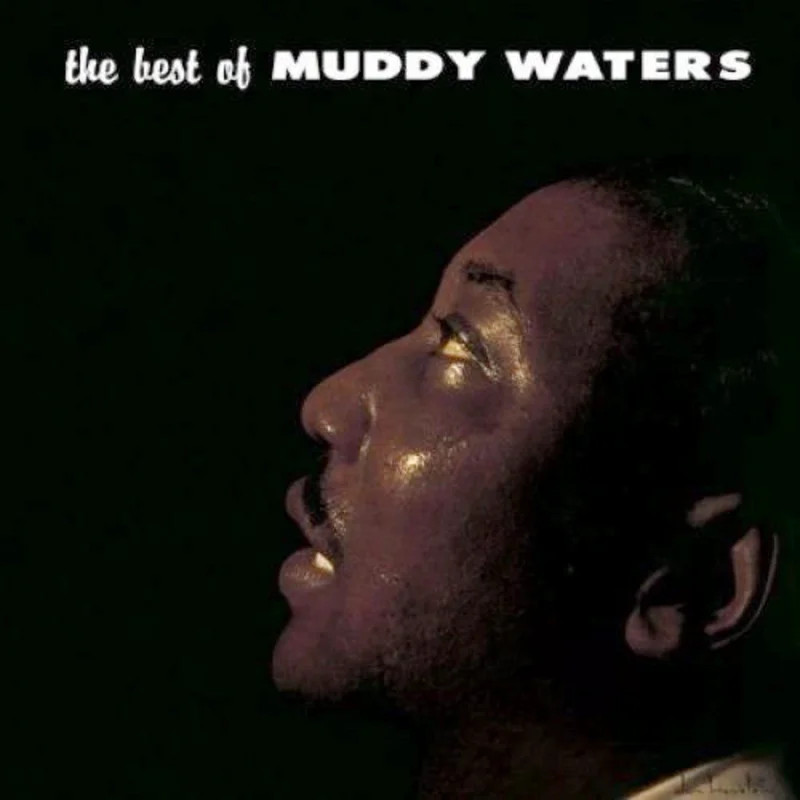 Muddy Waters - The Best of 14 Essential tracks!!