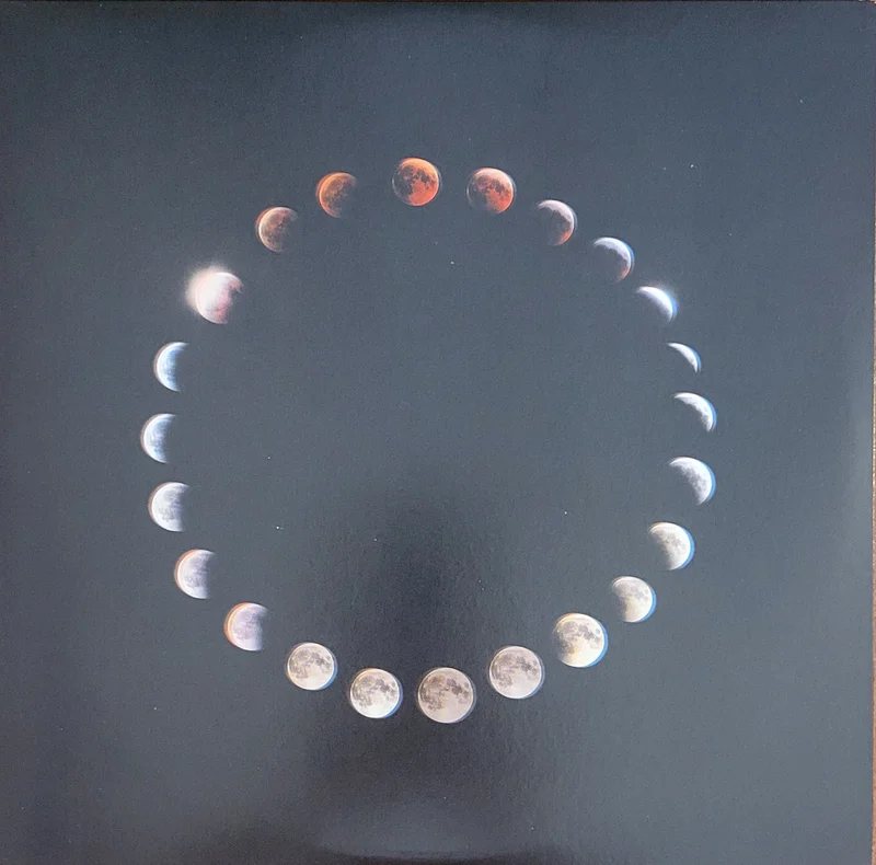 Mystery Jets - Stormborn / The Whole Of The Moon 10" Single (White Lunar)