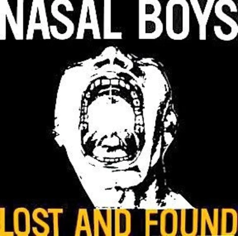 Nasal Boys - Lost And Found USED LP