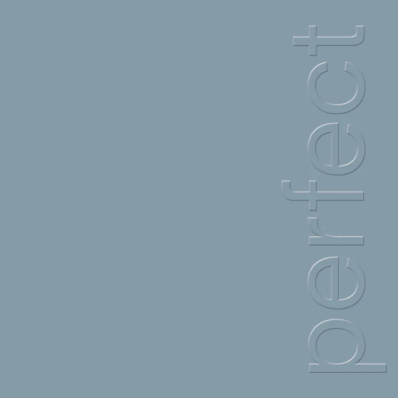 New Order - The Perfect Kiss 12"