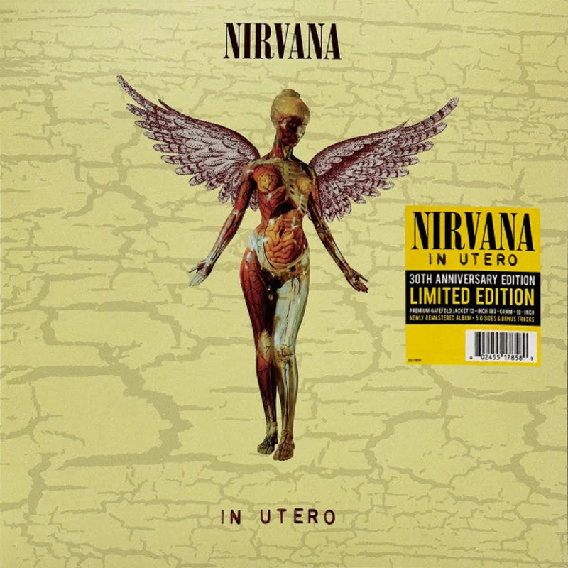 Nirvana - In Utero (Arrives in 4 Days)