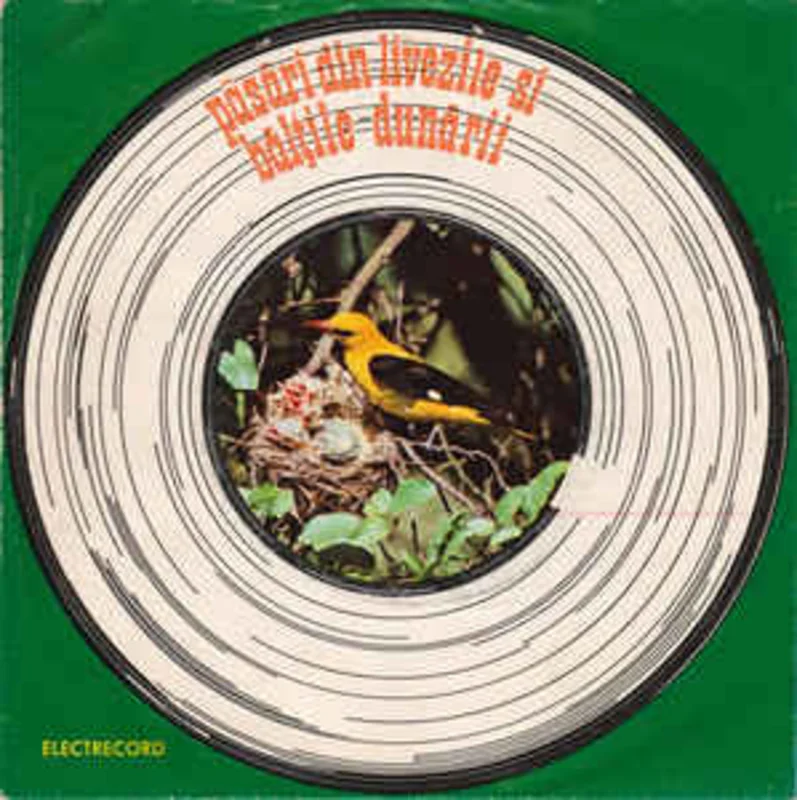 No Artist  Psri Din Livezile i Blile Dunri  (1976)