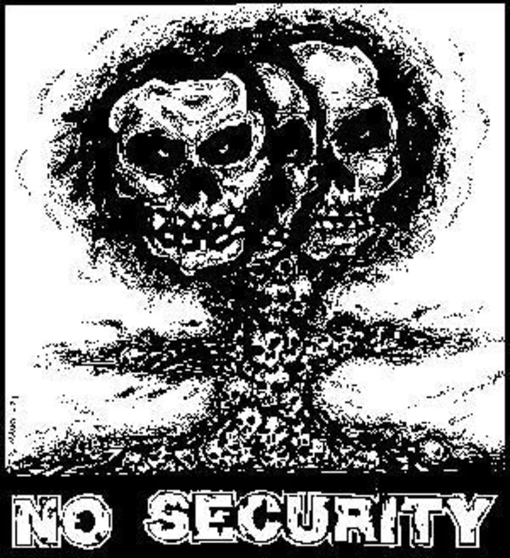 NO SECURITY patch