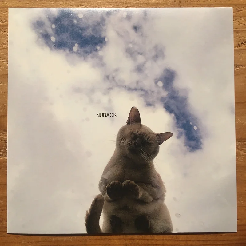 NUBACK - When The Party Is Over(7inch)