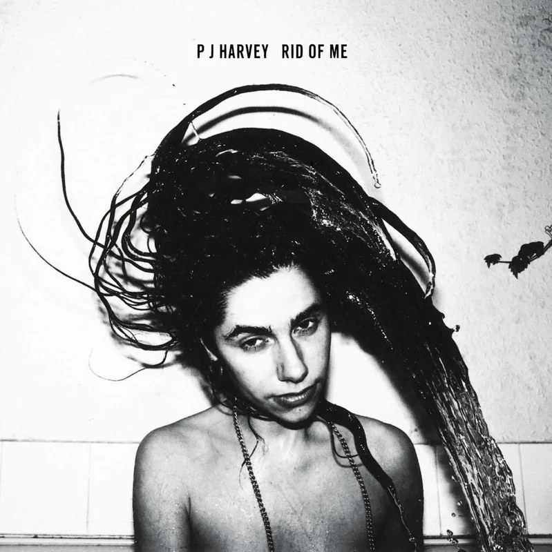 P J Harvey - Rid of Me w/ DL