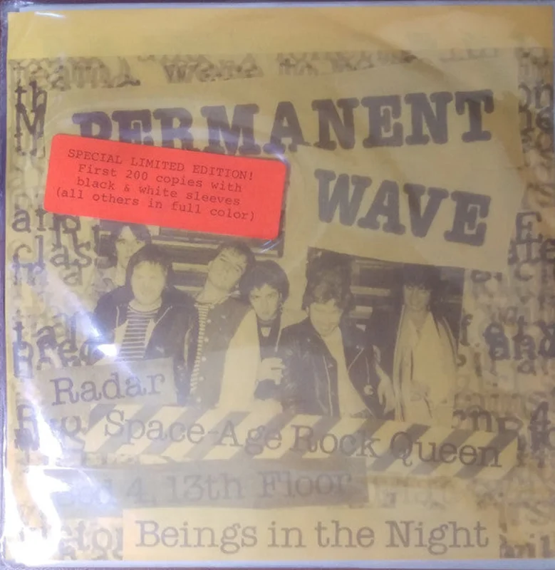Permanent Wave - S/T USED 7"