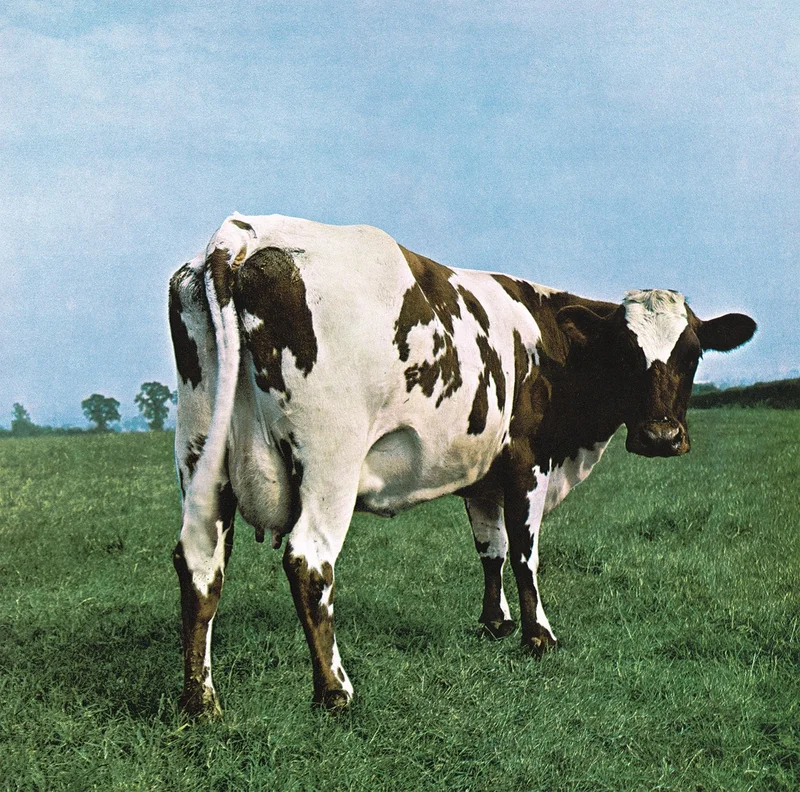 Pink Floyd - Atom Heart Mother - 180g