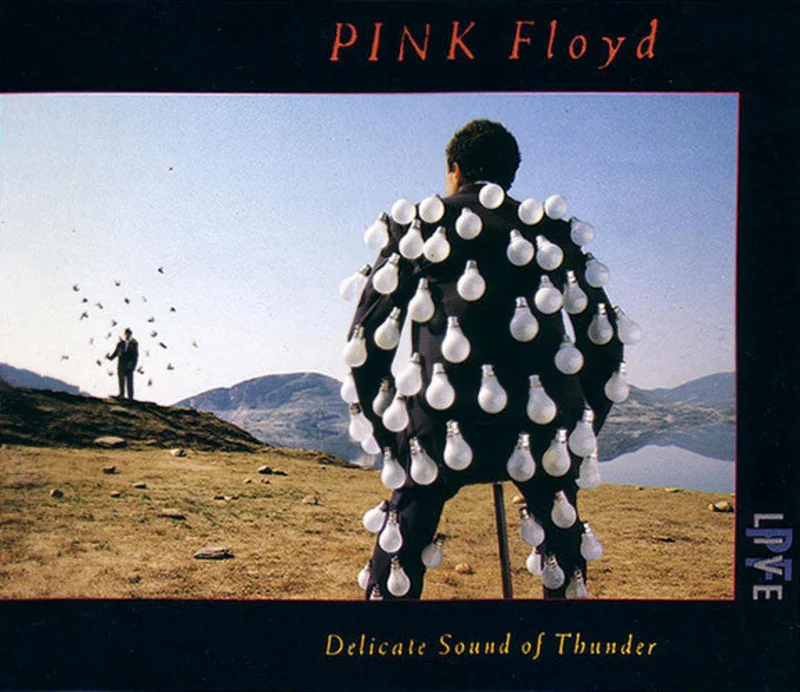 Pink Floyd - Delicate Sound Of Thunder (Quick Ship)