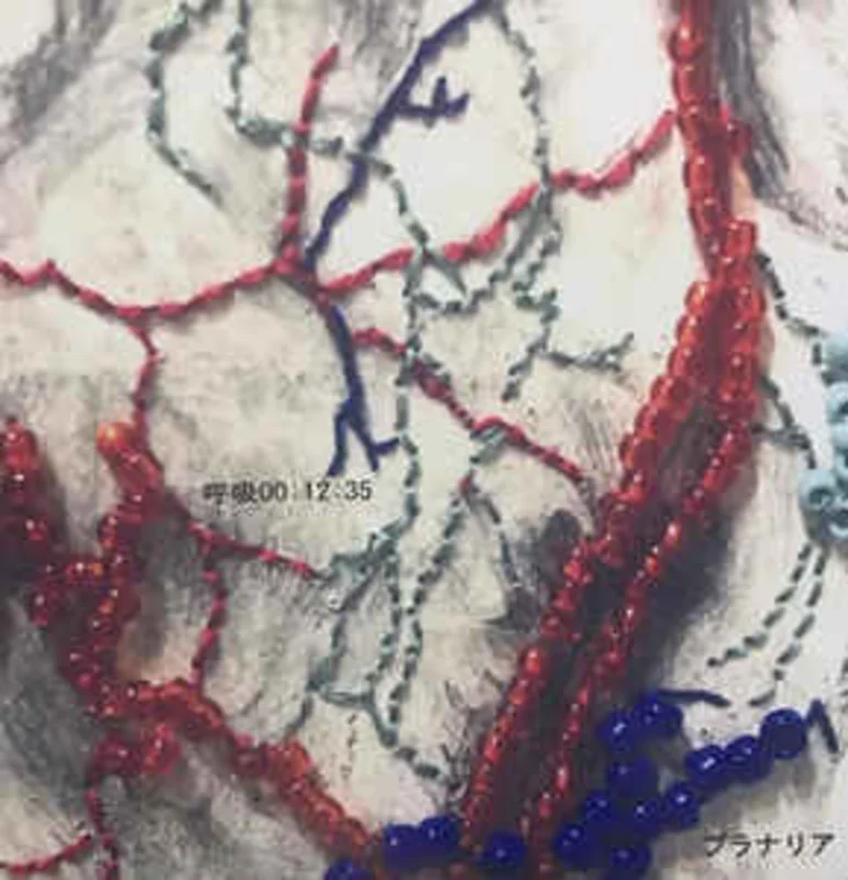 Planaria () - 00:12:35 NEW CD