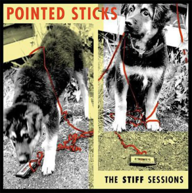 Pointed Sticks - The Stiff Sessions (Japan Import) NEW CD