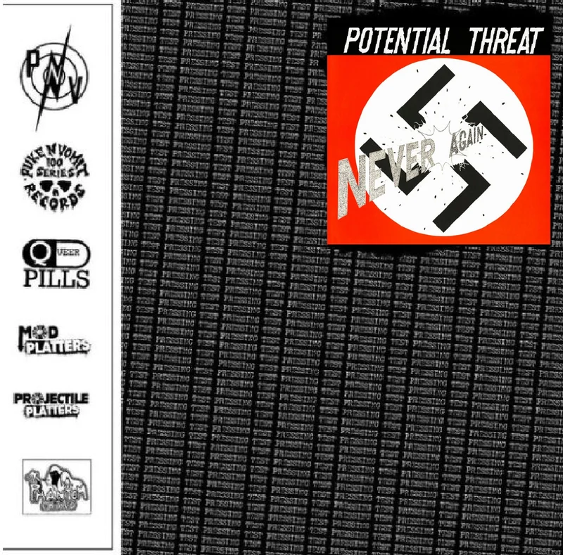 Potential Threat - Never Again USED LP (test press)
