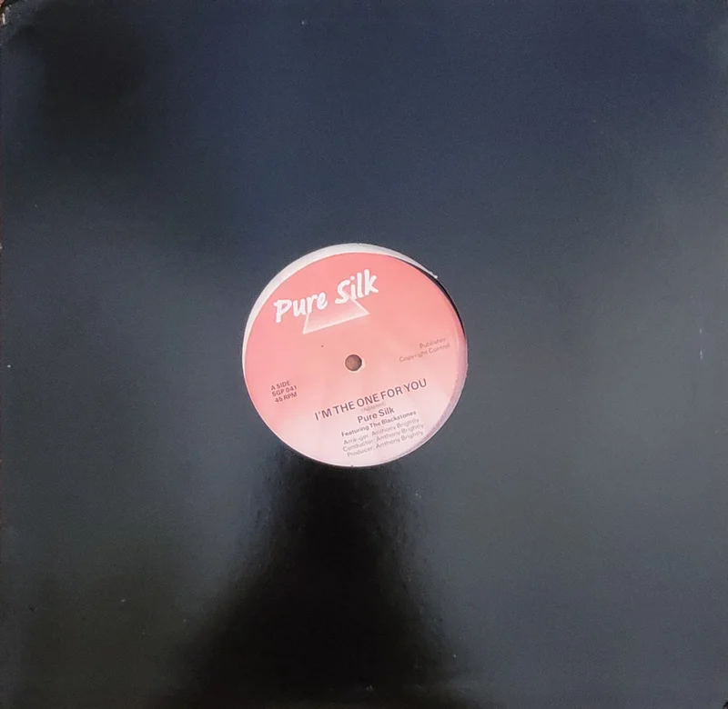 Pure Silk Featuring The Blackstones - I'm The One For You / Rub A Dub 12" Single