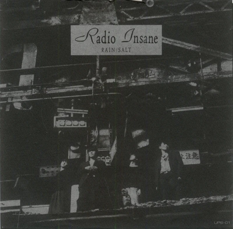 Radio Insane - Rain / Salt USED 7"