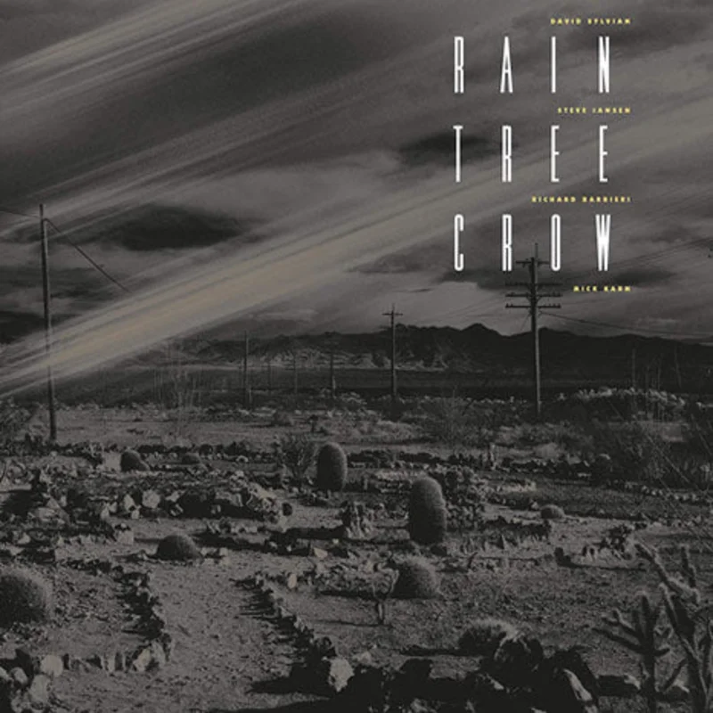 Rain Tree Crow / 180g black vinyl LP reissue