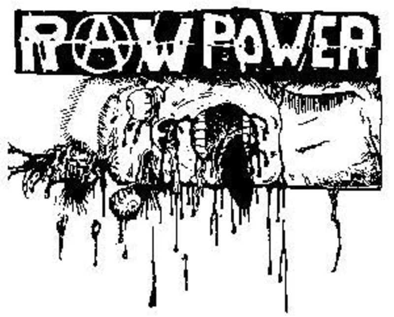 RAW POWER patch